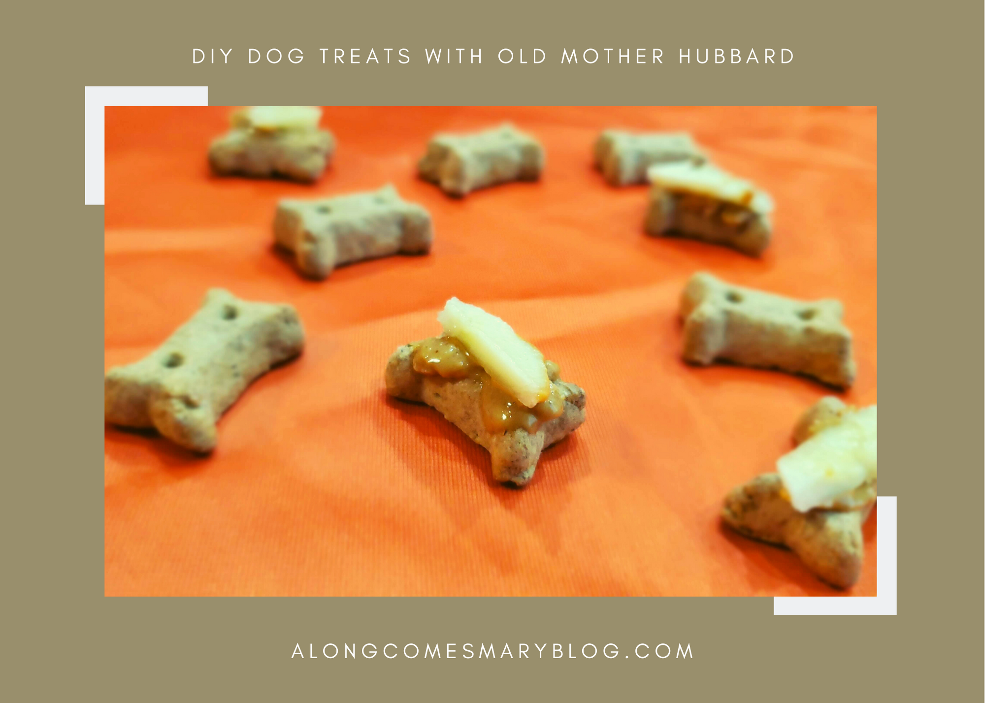 Old mother hubbard dog treats sales safe